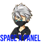Space X Panel